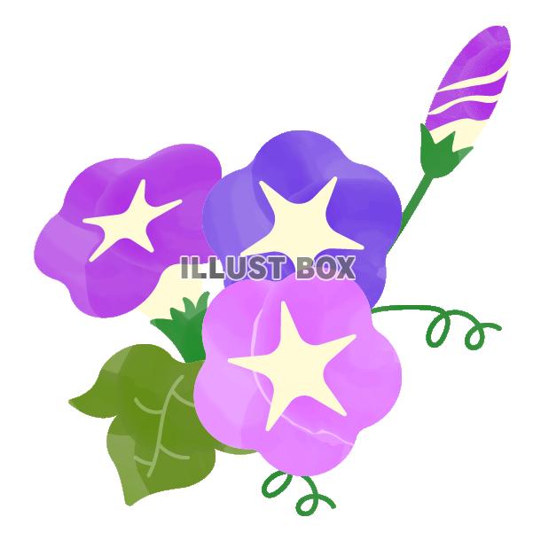 水彩風の紫陽花と葉とつると蕾B