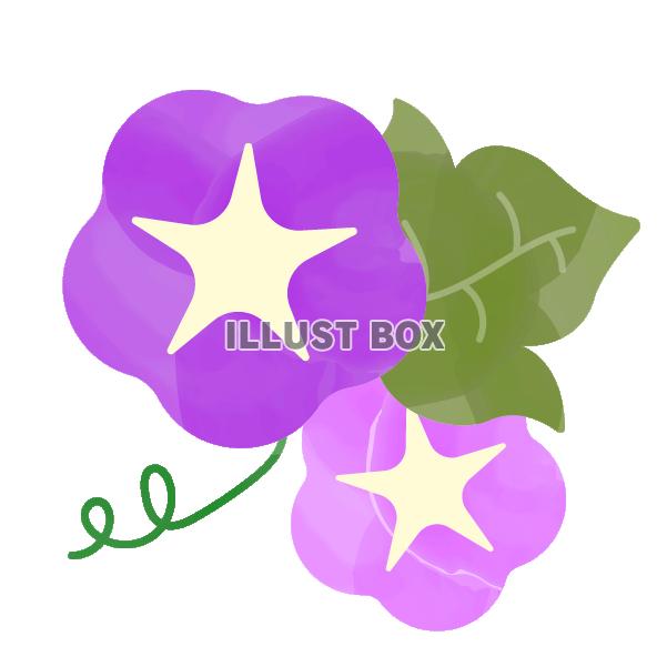 水彩風の紫陽花と葉とつるB