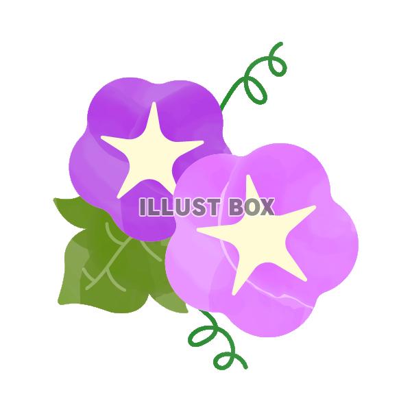 水彩風の紫陽花と葉とつるA