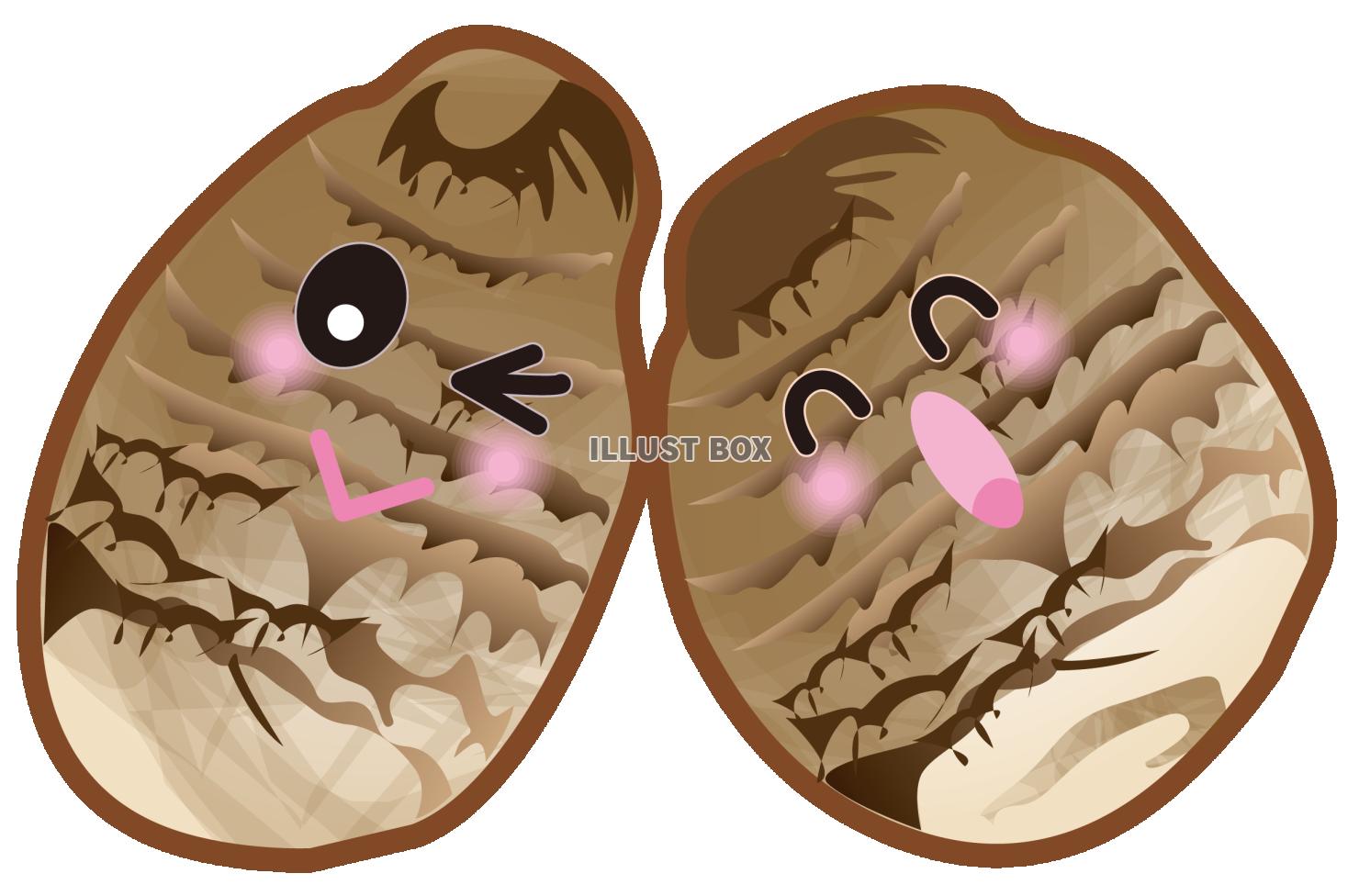 かわいい里芋（透過PNG）EPSはCS2版