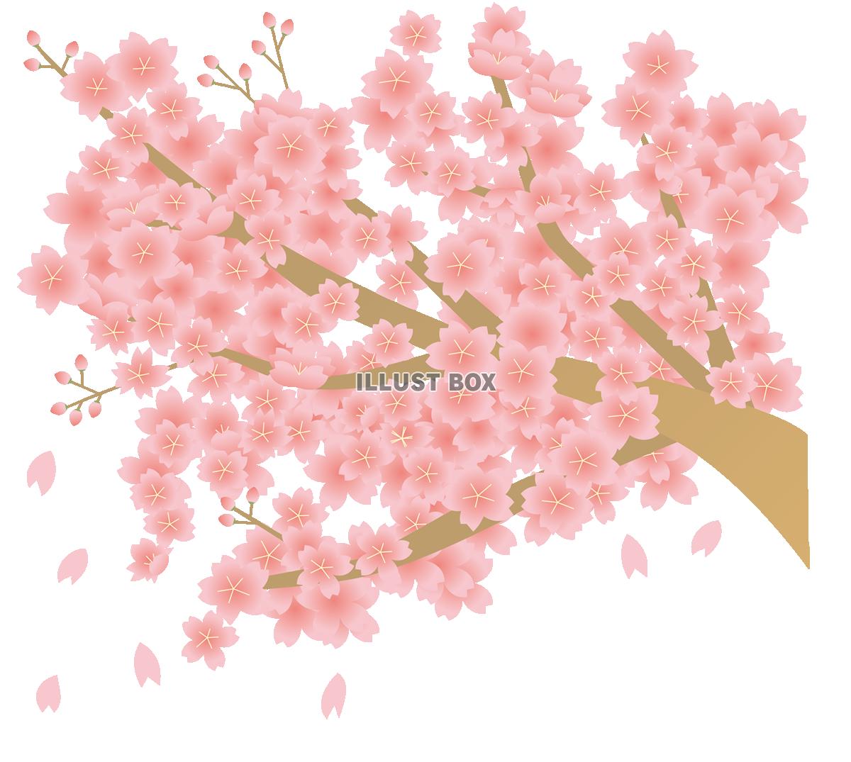 桜のワンポイントイラスト