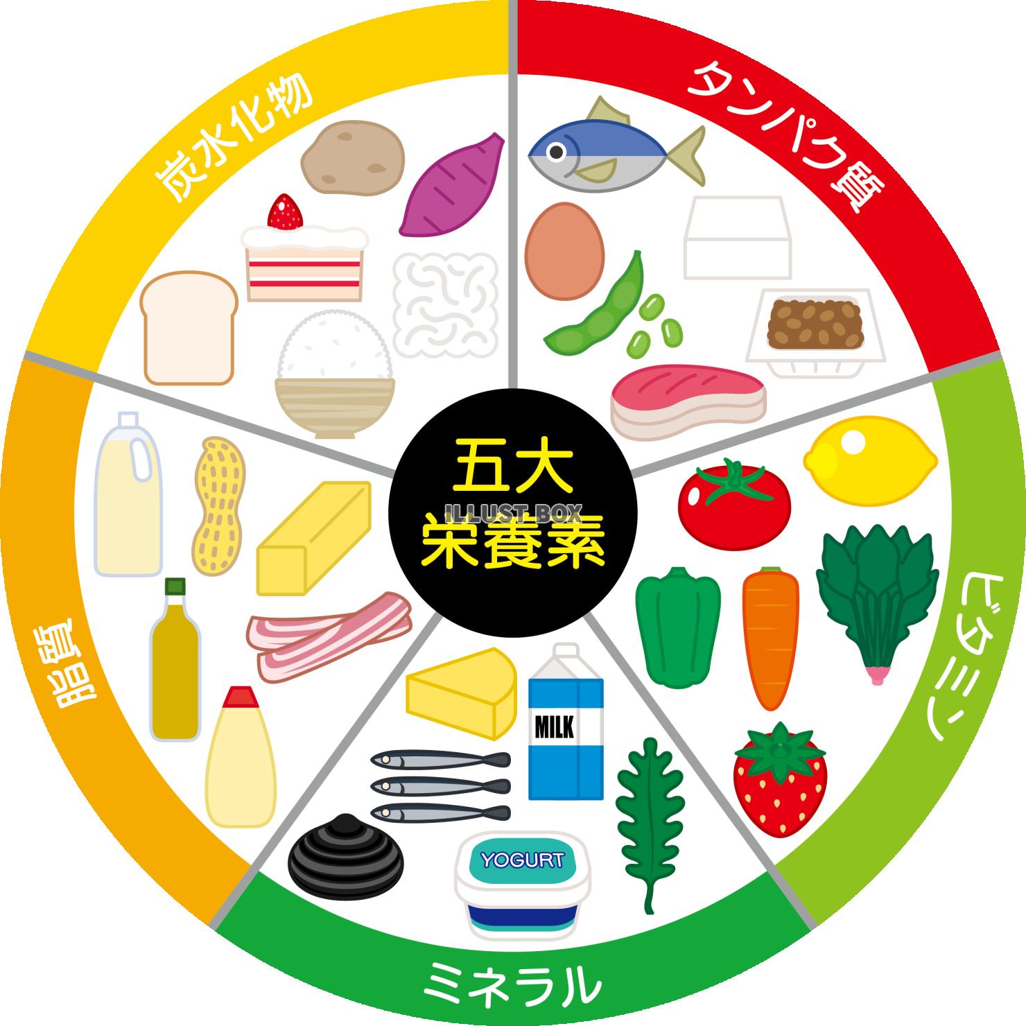 五大栄養素の解説図