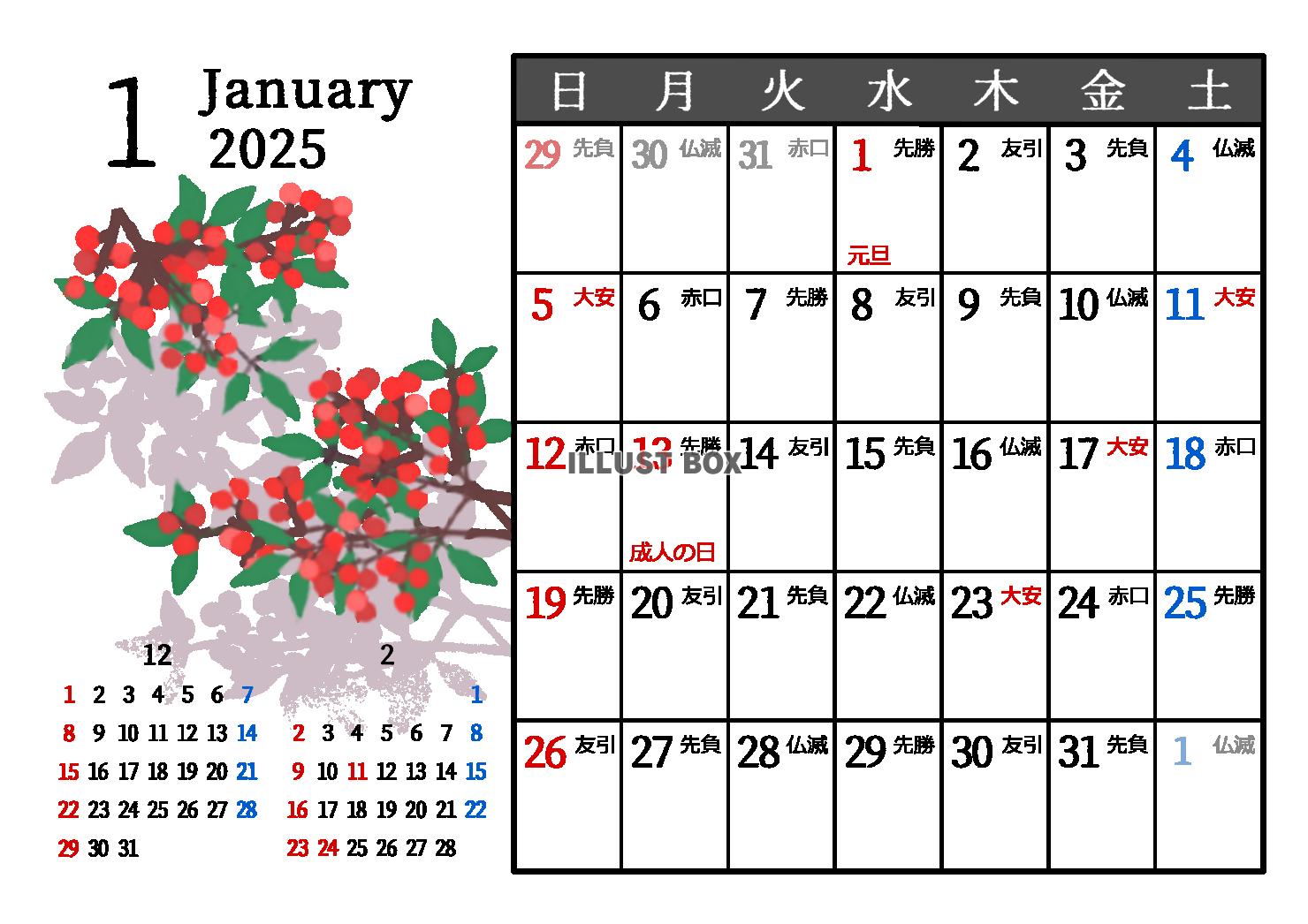 2025年1月　六曜入り　季節の植物のカレンダー　