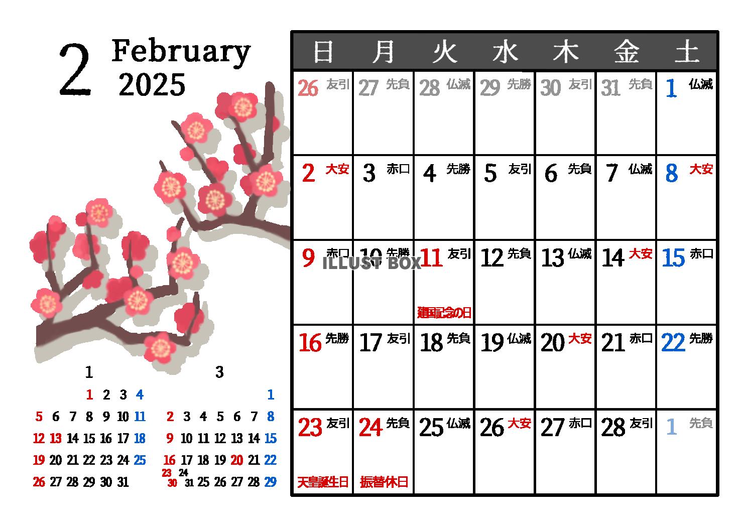 2025年2月　六曜入り　季節の植物のカレンダー　