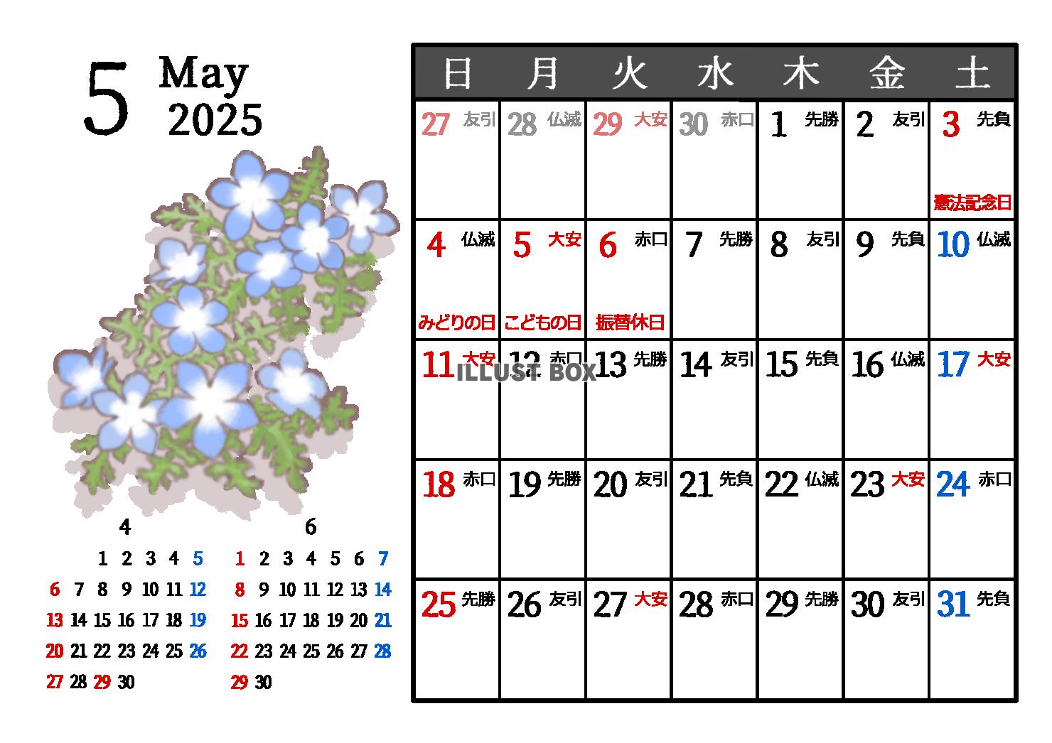 2025年5月　六曜入り　季節の植物のカレンダー　