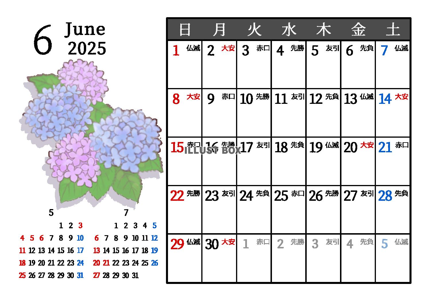 2025年6月　六曜入り　季節の植物のカレンダー　