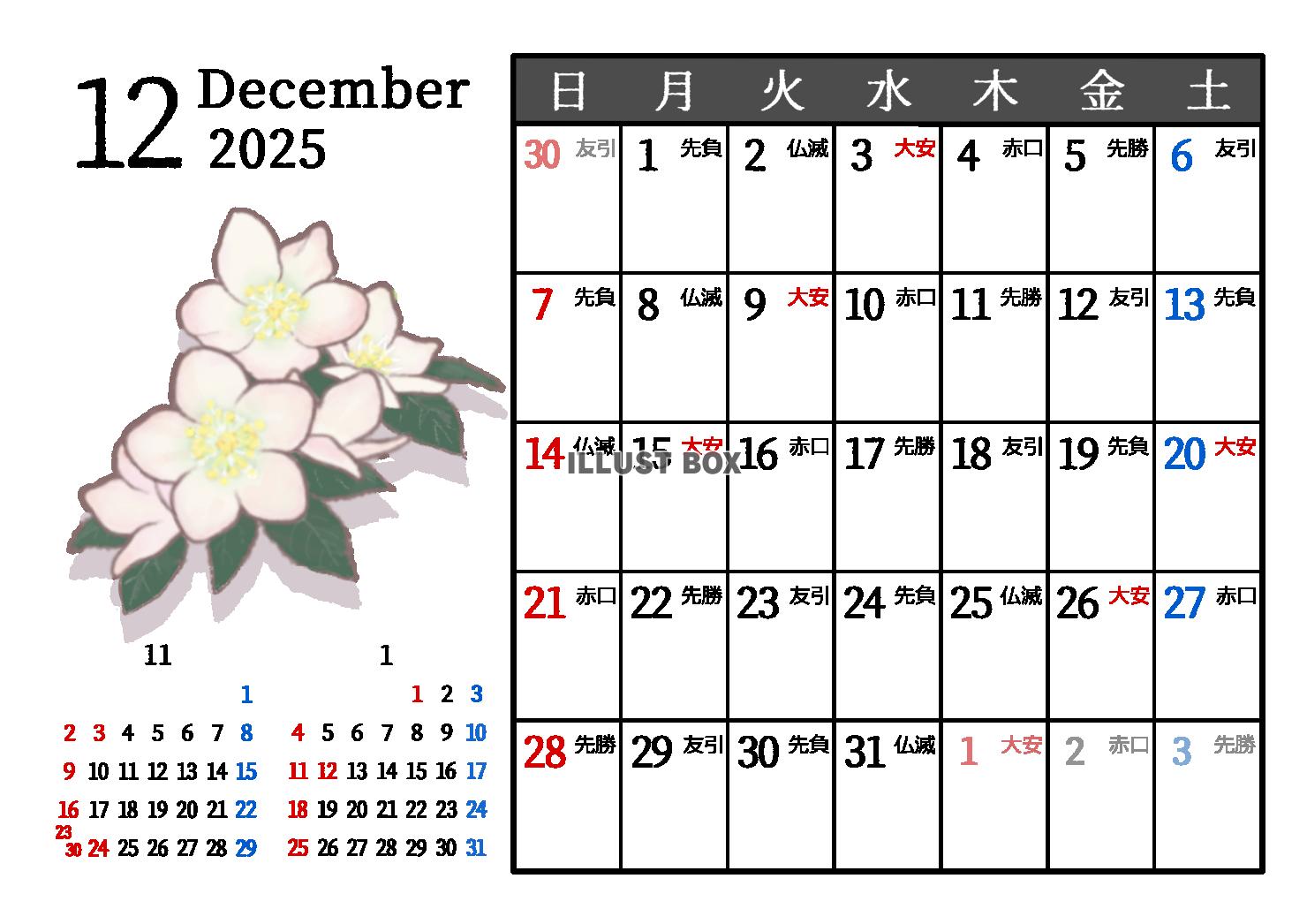 2025年12月　六曜入り　季節の植物のカレンダー　