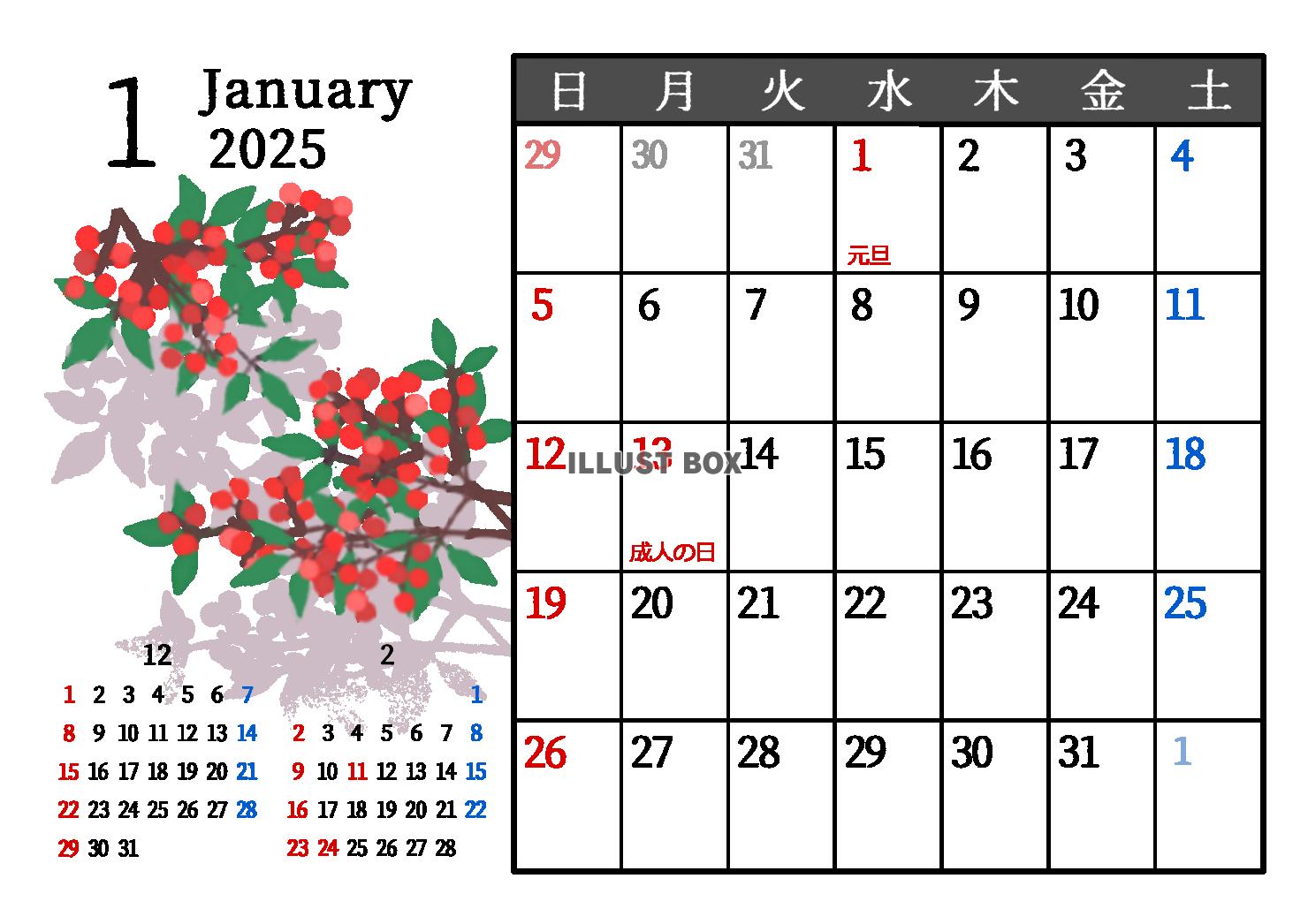 2025年1月　季節の植物のカレンダー　