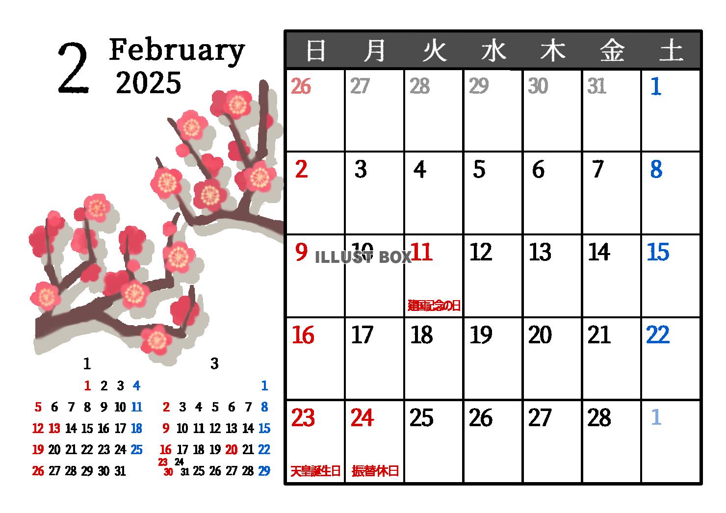 2025年2月　季節の植物のカレンダー　