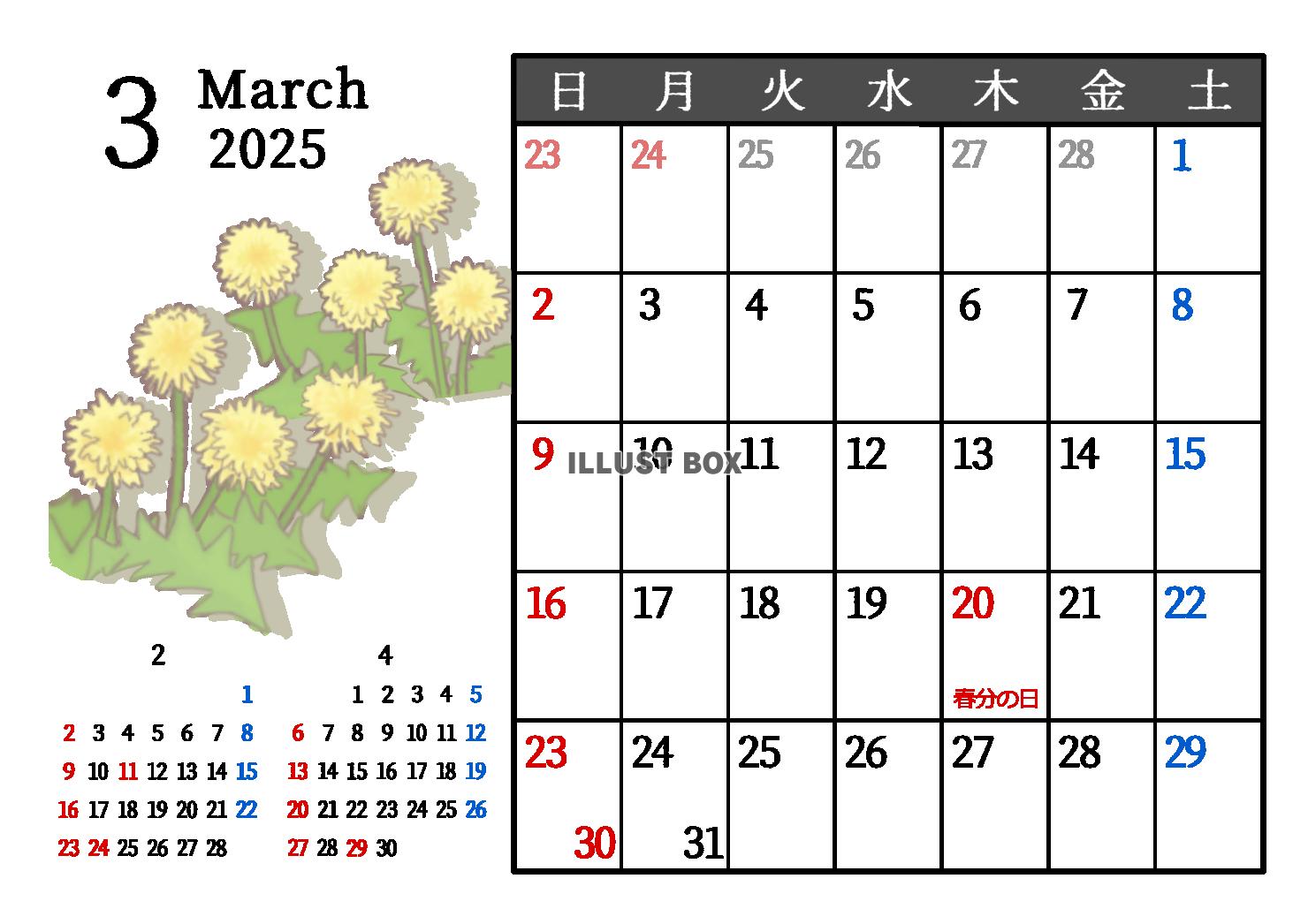 2025年3月　季節の植物のカレンダー　