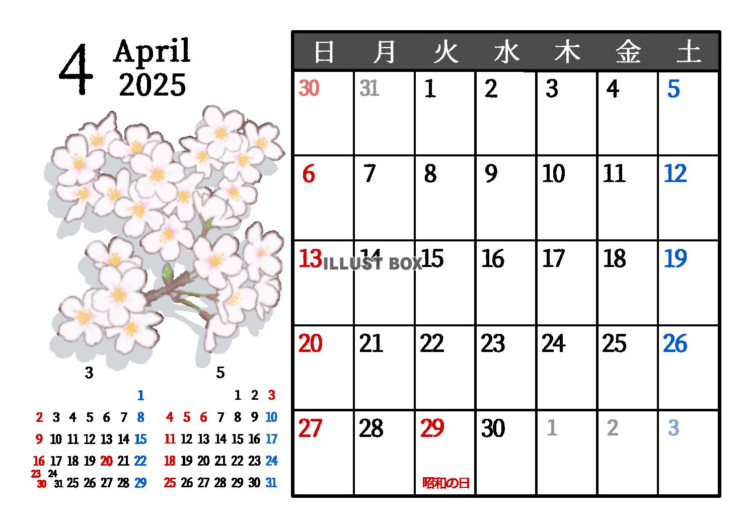 2025年4月　季節の植物のカレンダー　