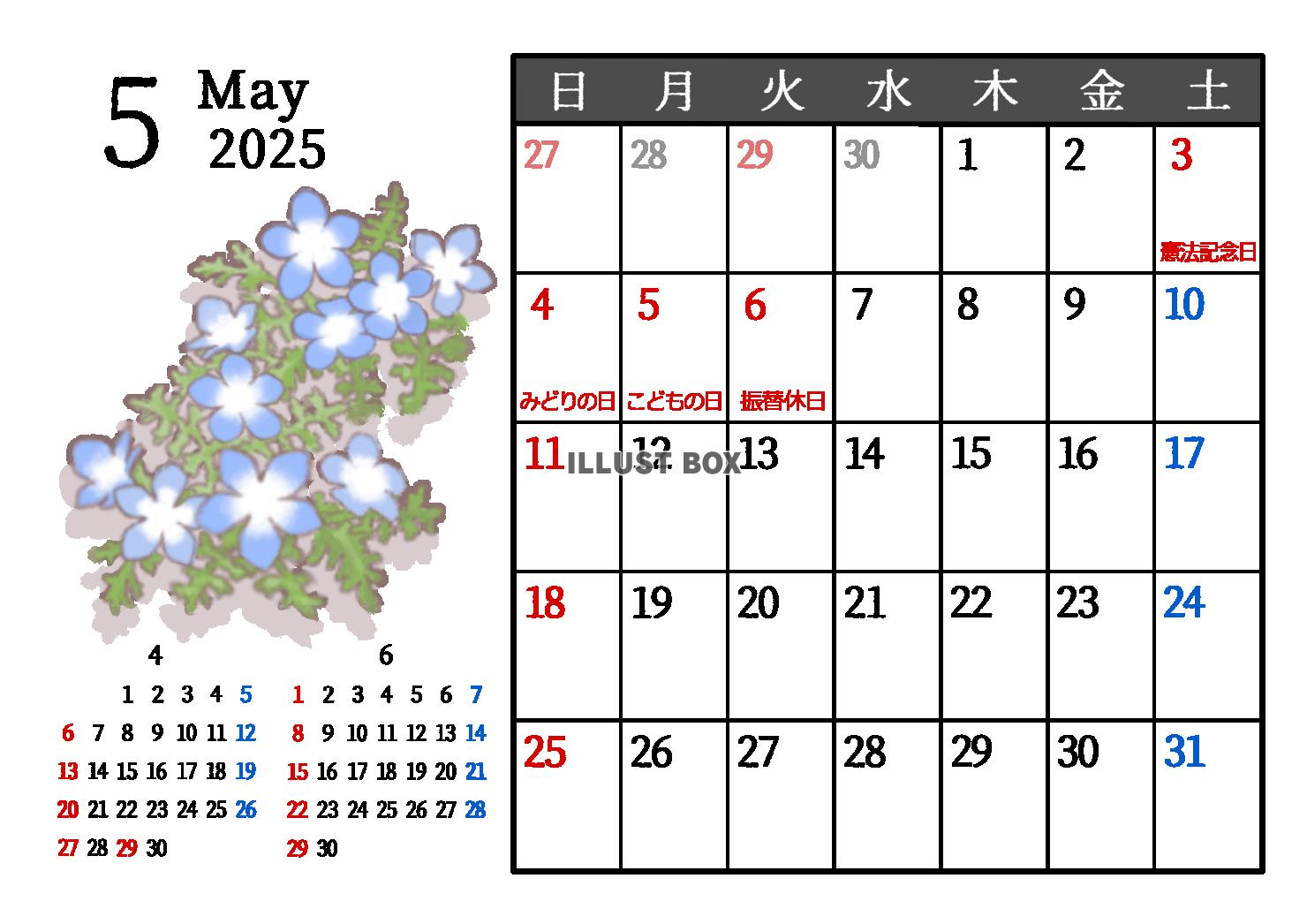 2025年5月　季節の植物のカレンダー　