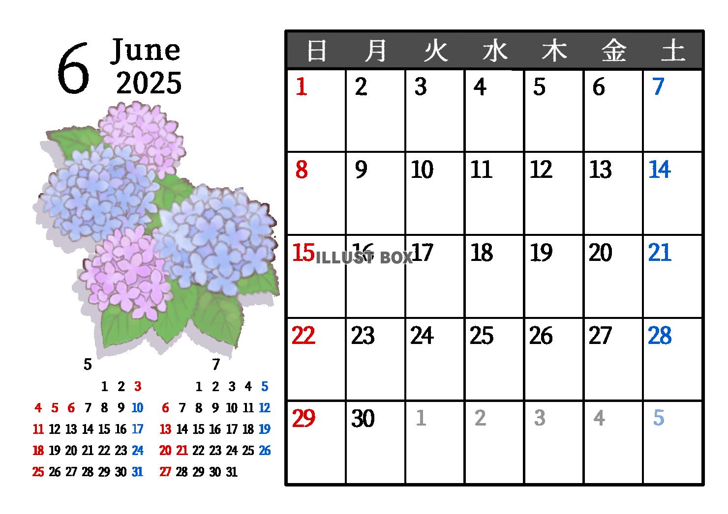 2025年6月　季節の植物のカレンダー　