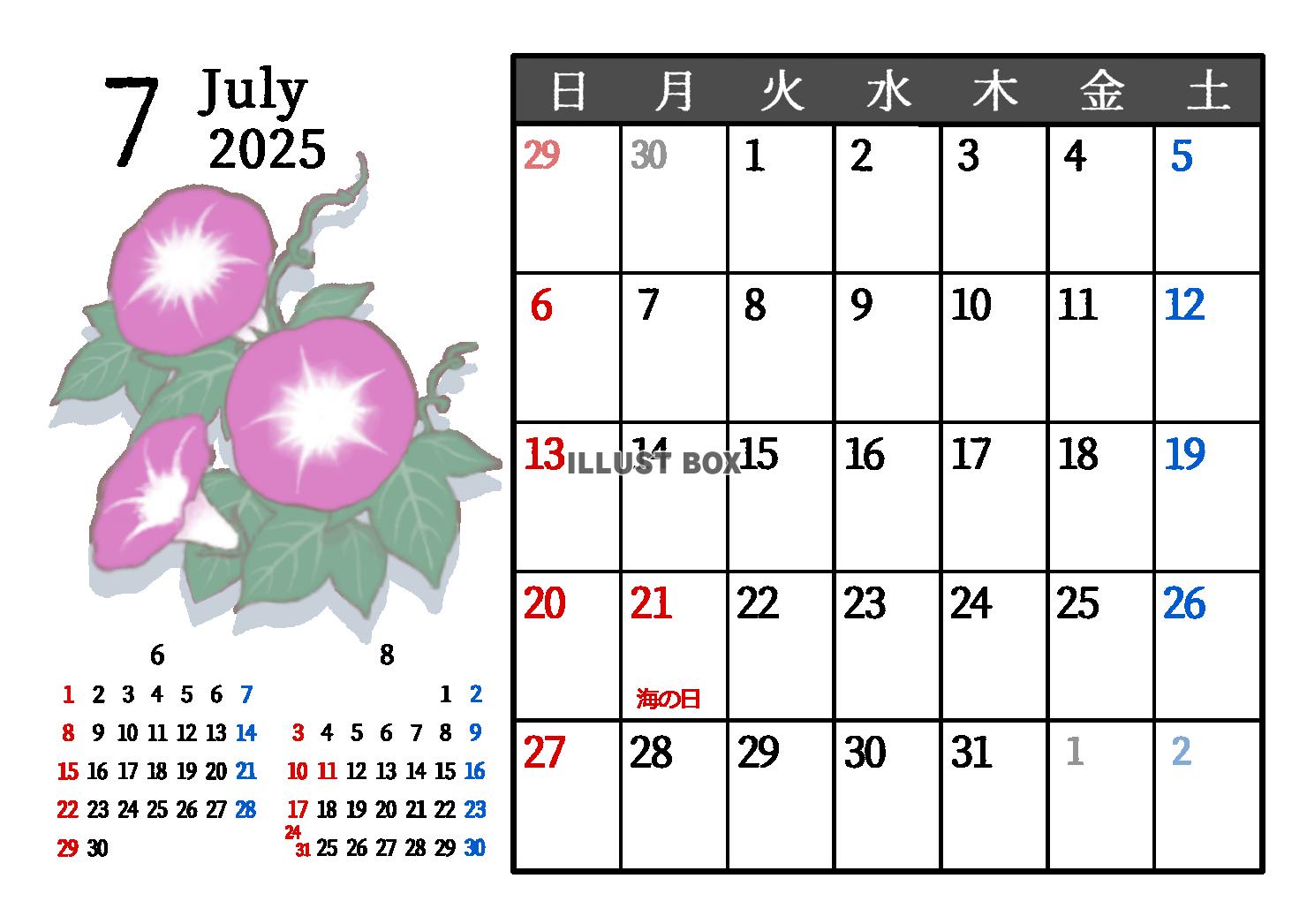 2025年7月　季節の植物のカレンダー　