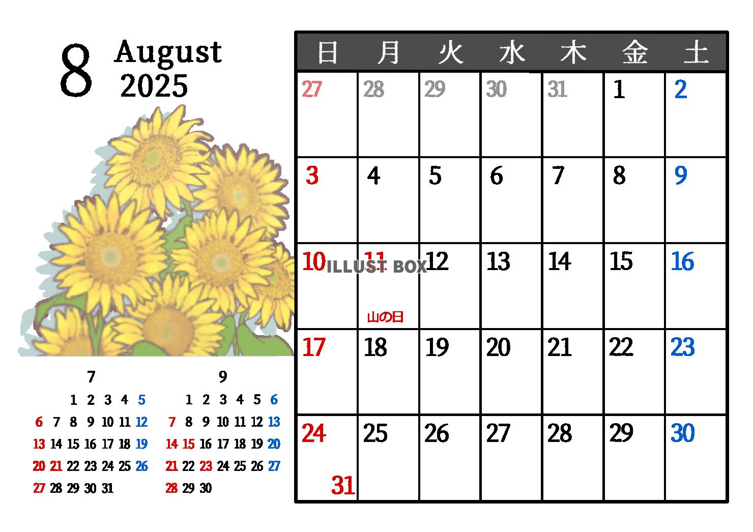 2025年8月　季節の植物のカレンダー　