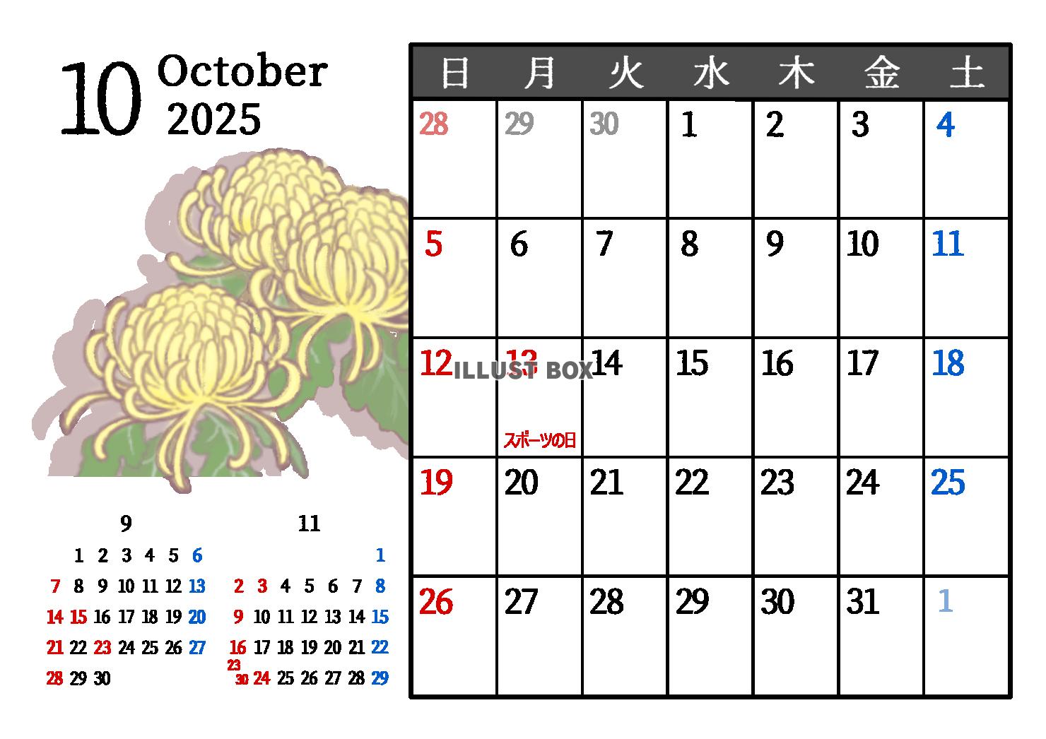 2025年10月　季節の植物のカレンダー　