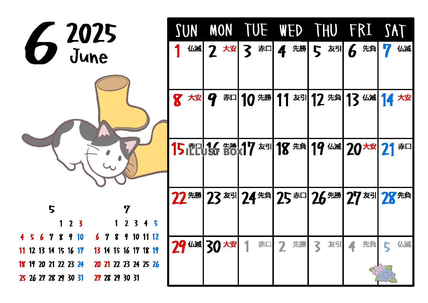 2025年6月　六曜入り　猫のカレンダー　