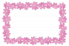 秋桜の便せん