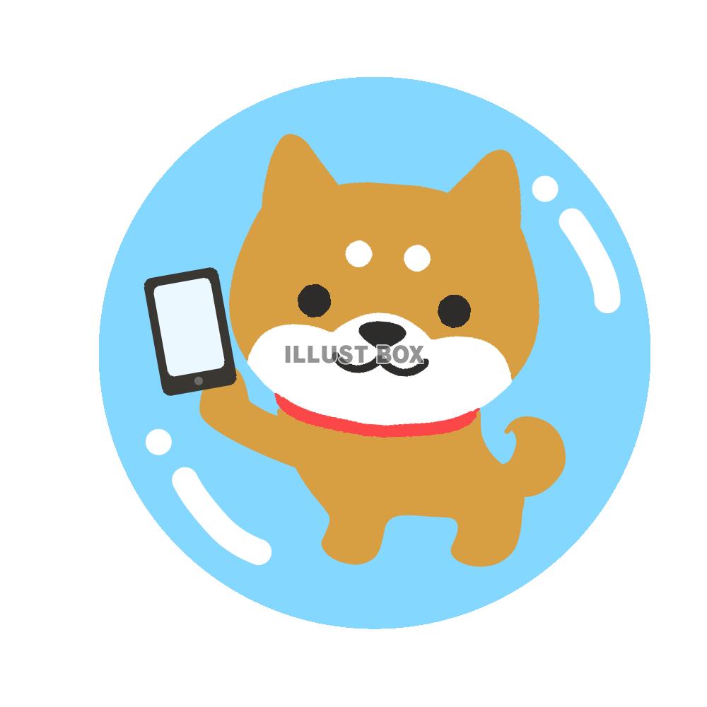 泡の中でスマホを持った柴犬　透過png