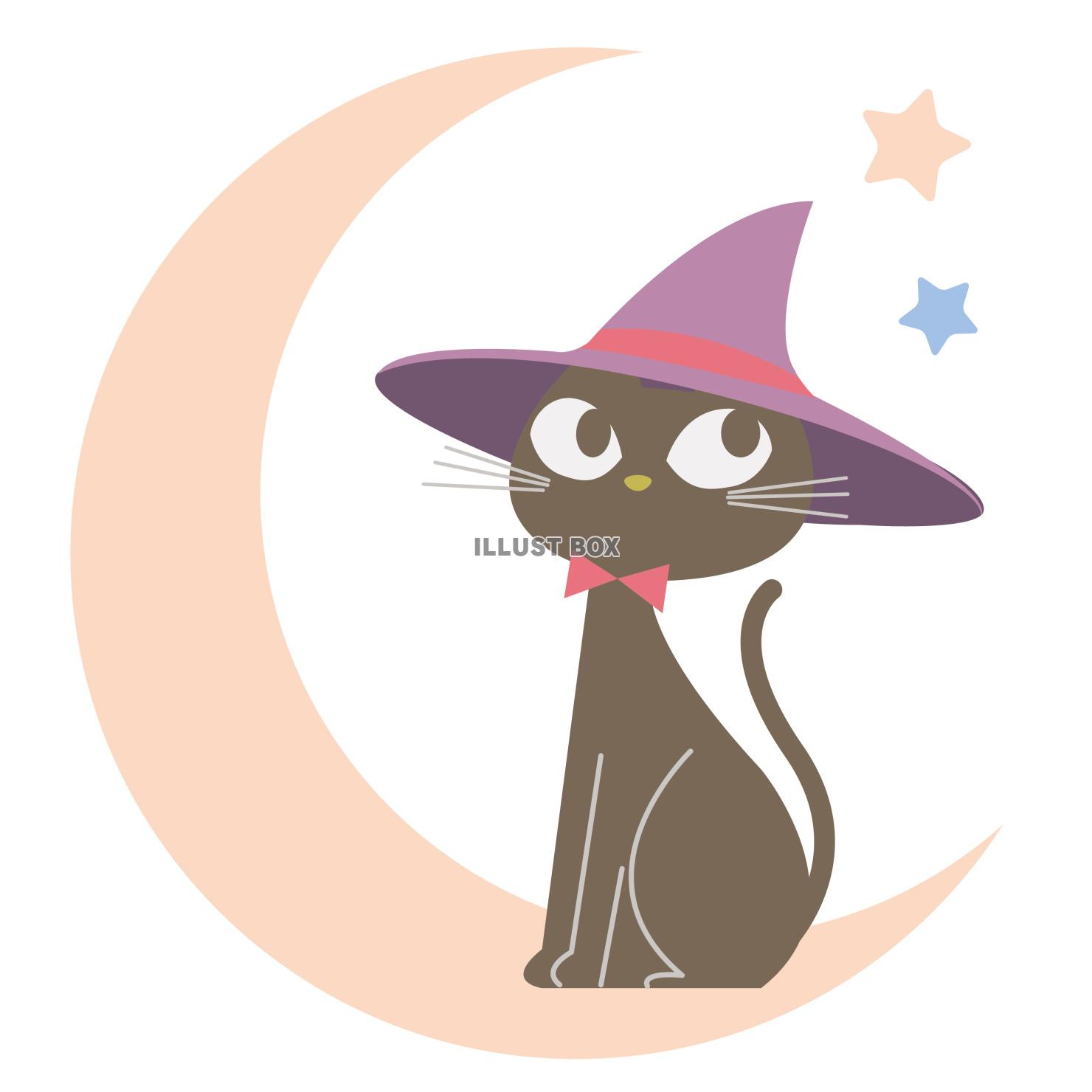 ハロウィンの夜の黒猫とお月様