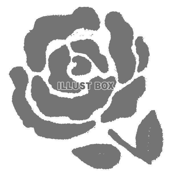 シンプルな濃いグレーの薔薇の花(透過png)