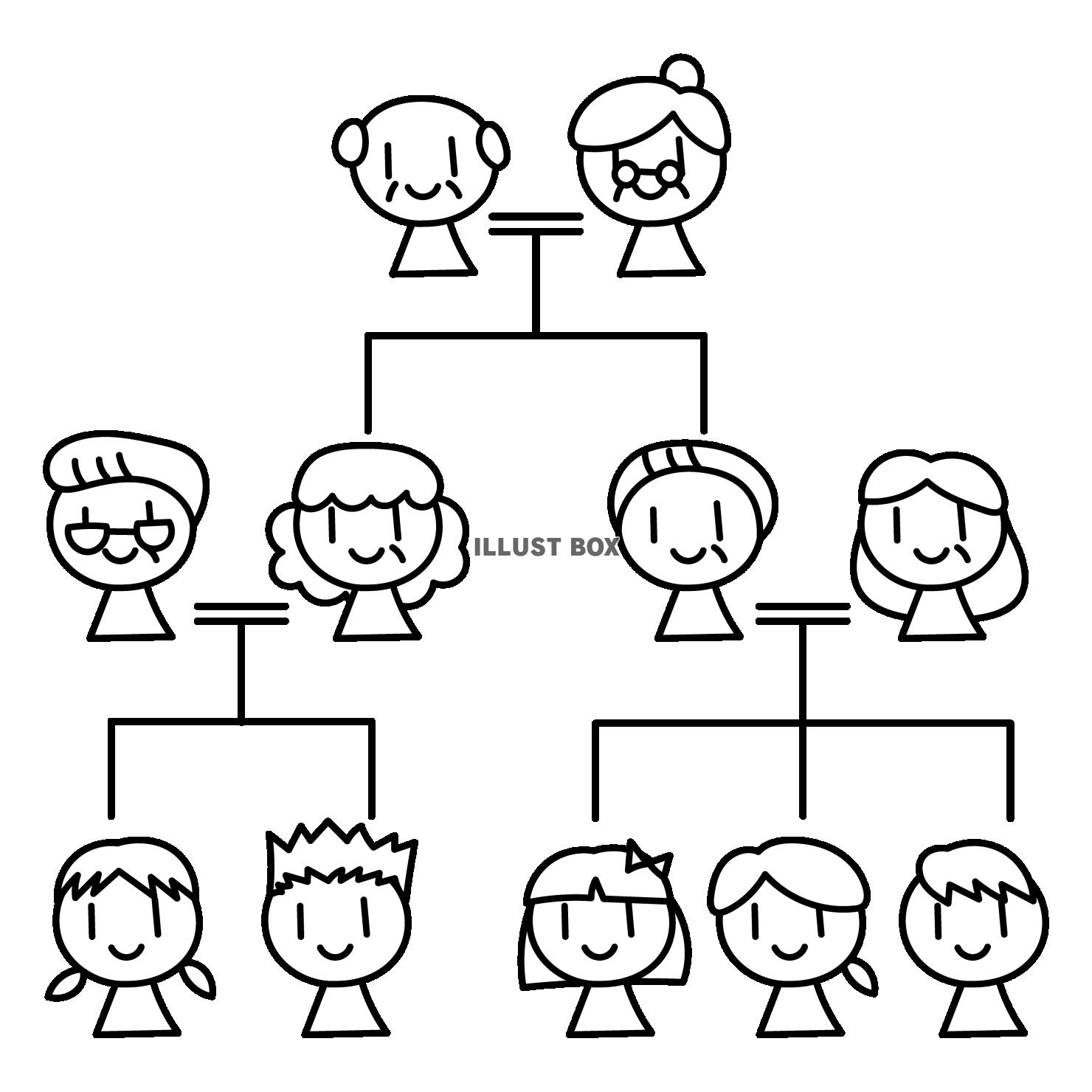 3世代の老若男女の家系図