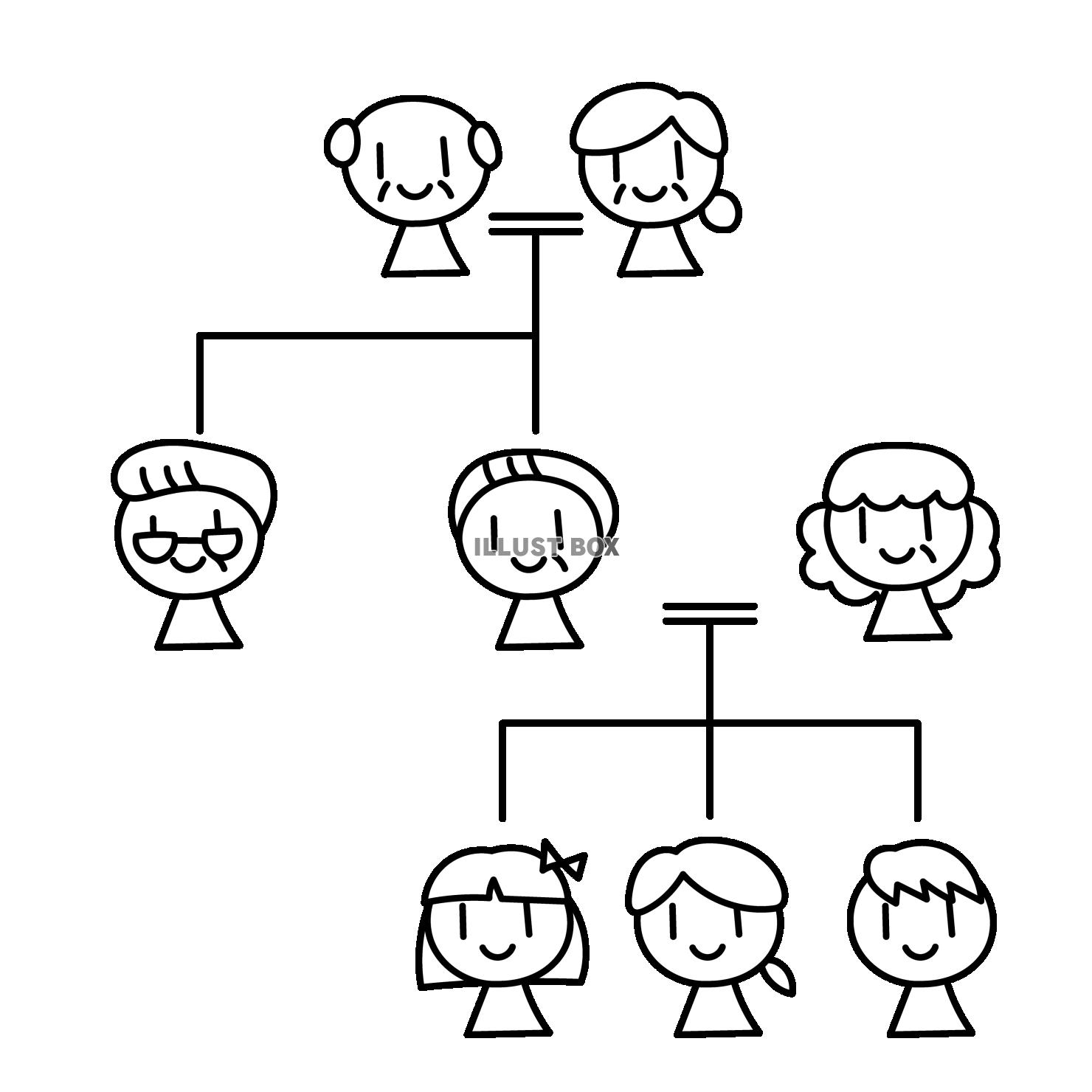 3世代の老若男女の家系図