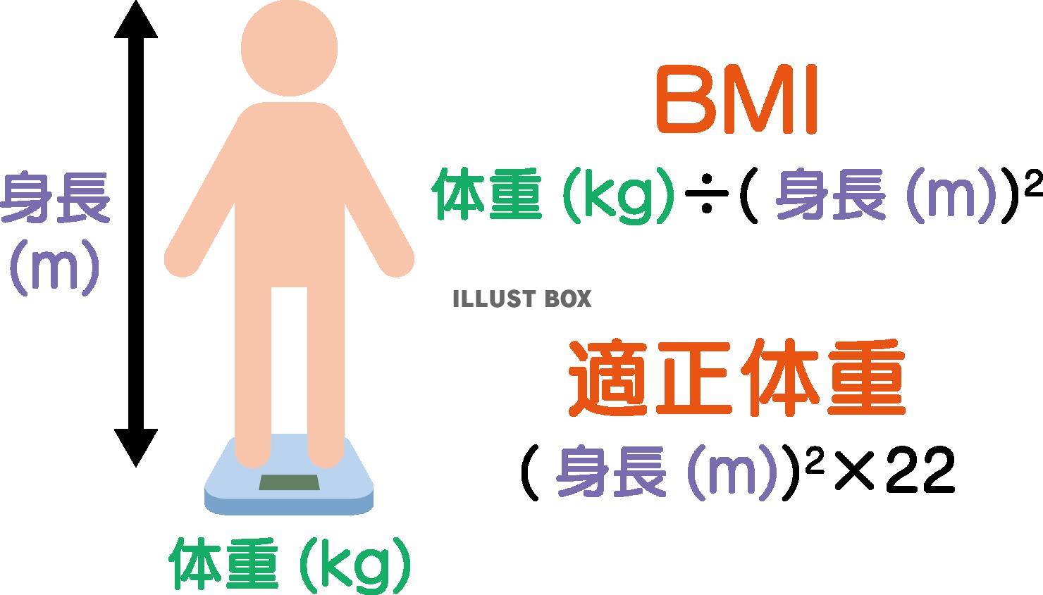  BMIと適正体重の計算式の解説　カラー