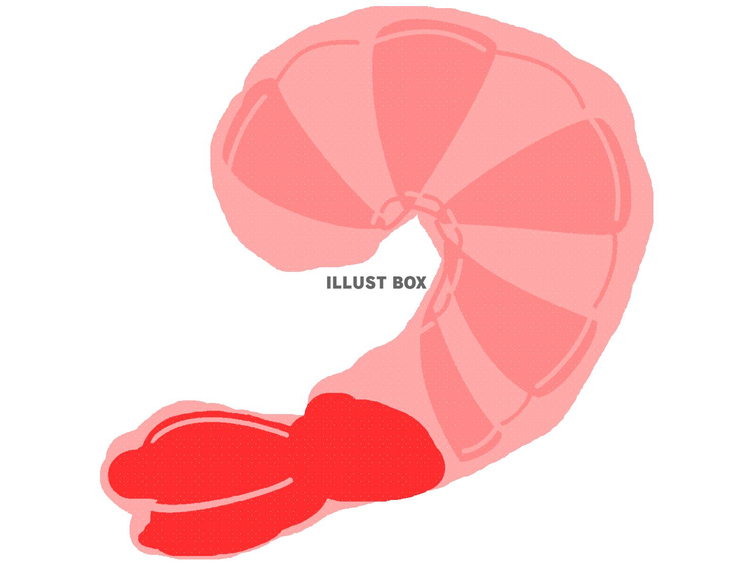 赤色のむき海老の食材アイコン