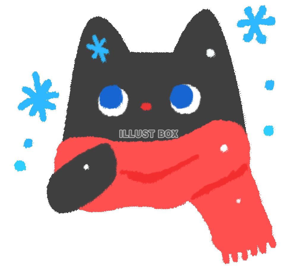 初雪とマフラーを巻いた黒猫(透過png)