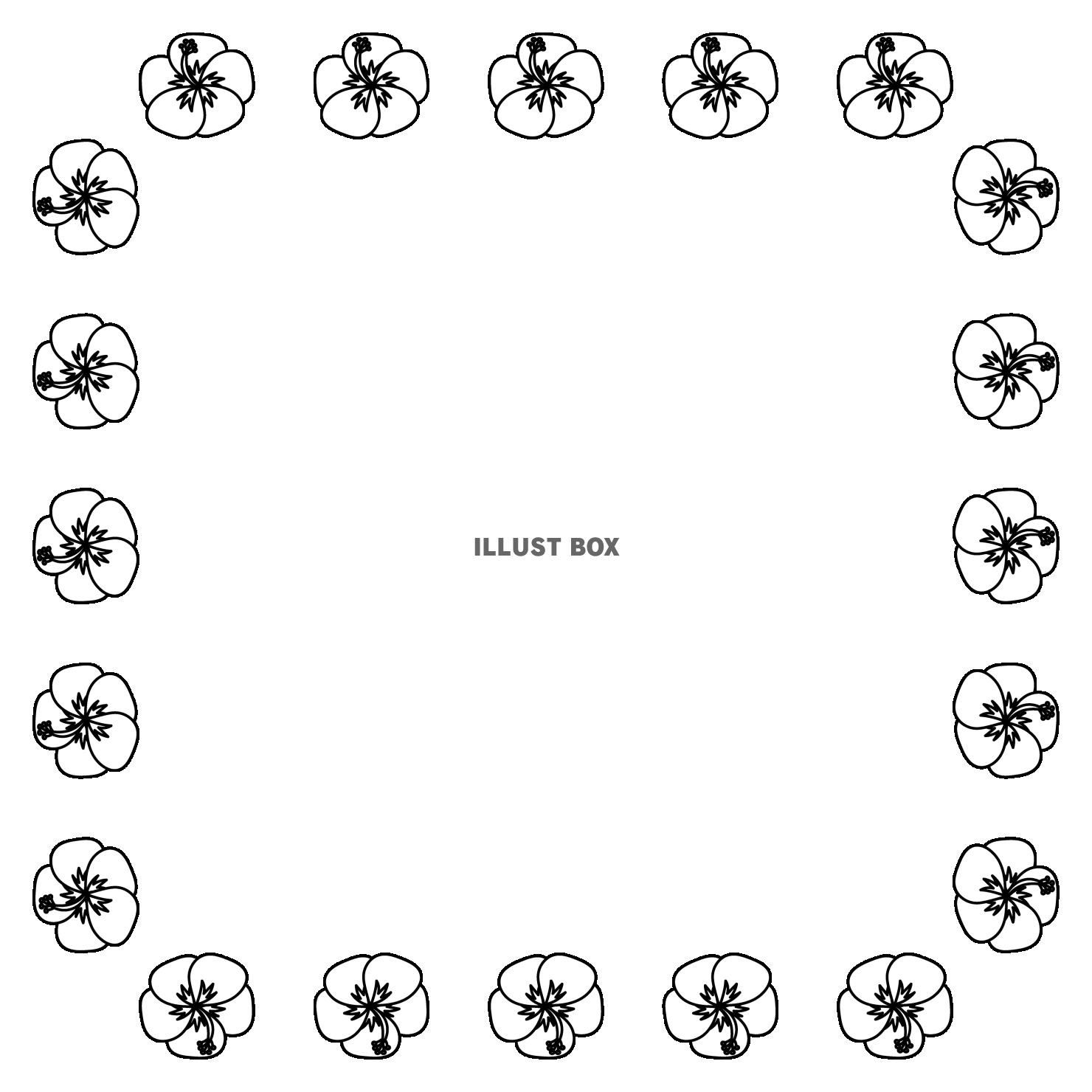 白黒のハイビスカスフレーム　正方形