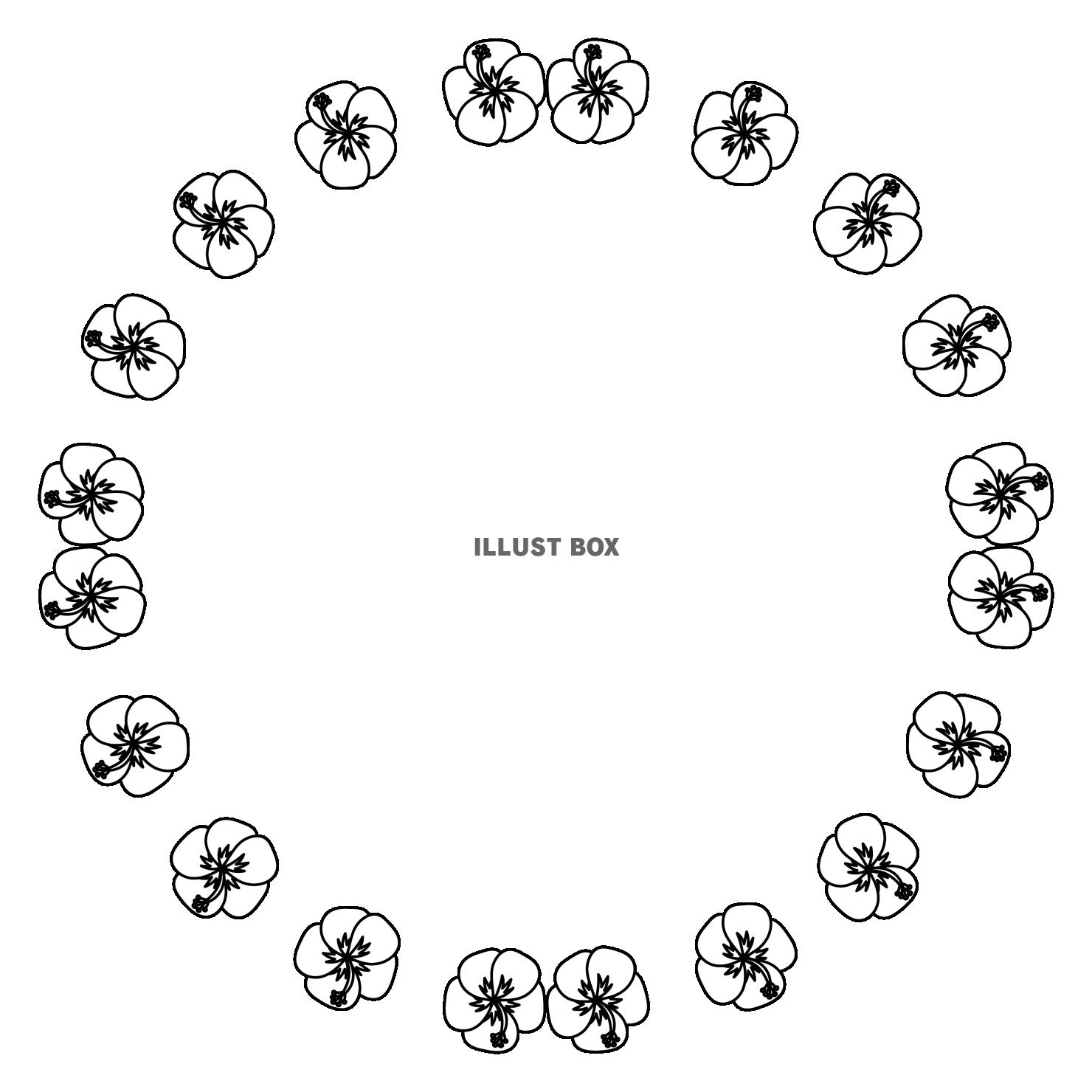 白黒のハイビスカスフレーム　丸