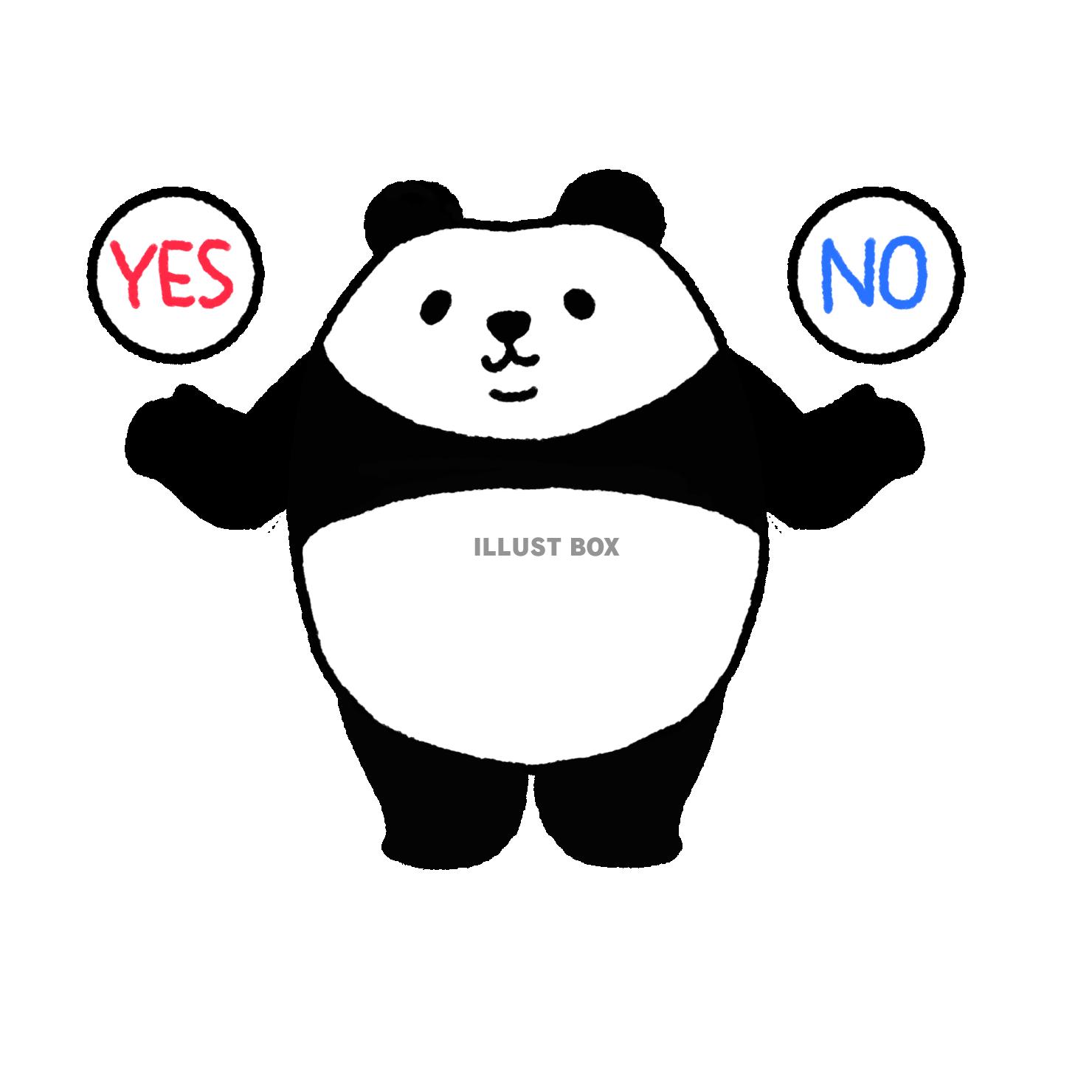 パンダシリーズ　YES or NO