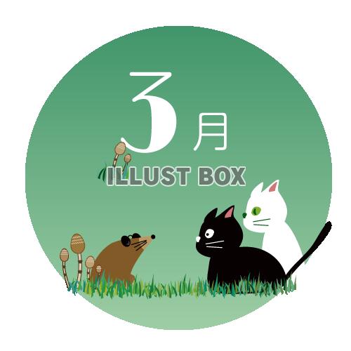 3月の黒猫と白猫のまったり生活　カレンダーロゴ