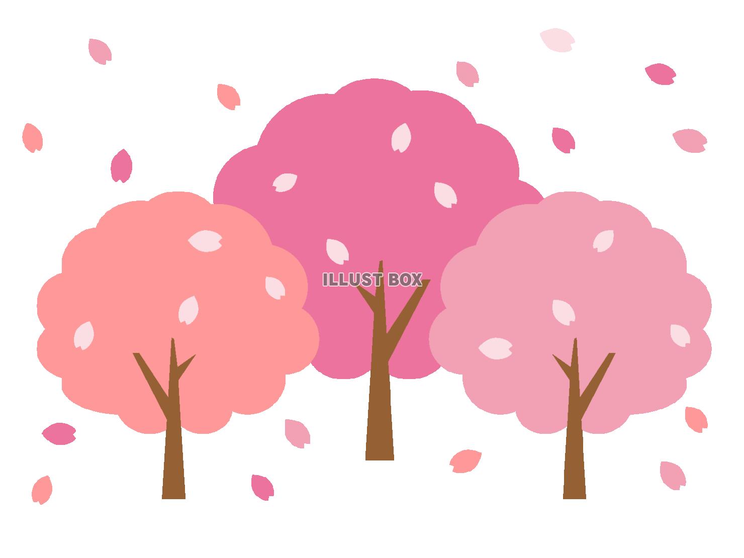 桜の木のイラスト